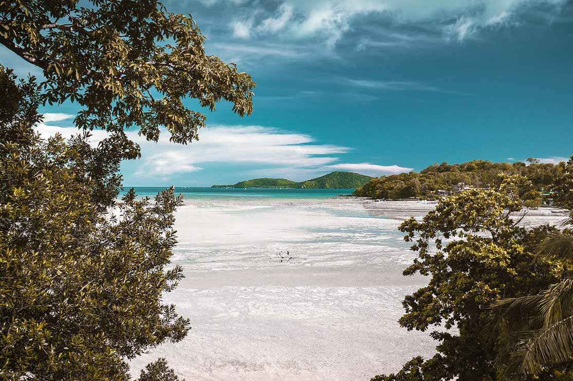 beach on a tropical island